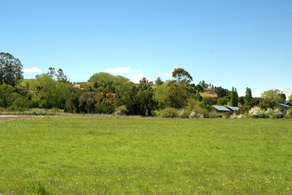 Aires del Llanquihue, Frutillar