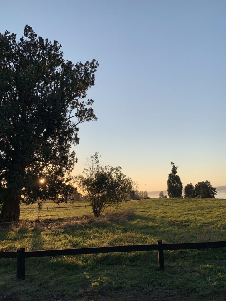 Piedras Blancas, foto 8
