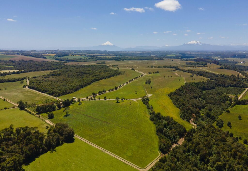 Campito en el Sur, foto 2