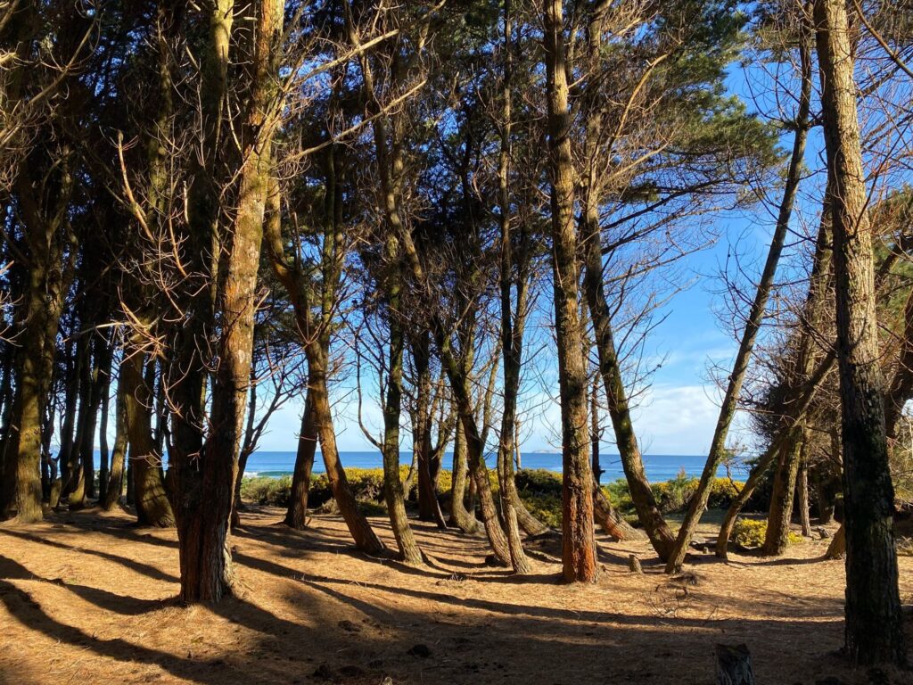 Mar Brava, foto 5