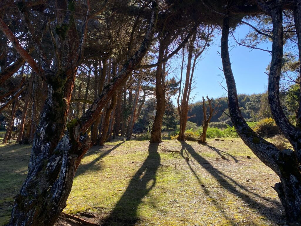 Mar Brava, foto 6