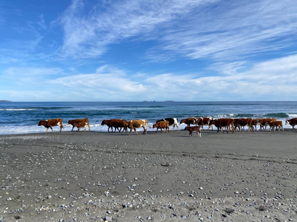Mar Brava, foto 7